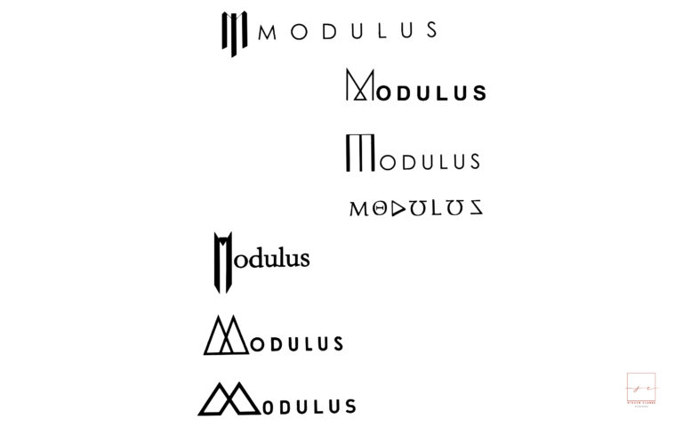 modulus logo concepts for a creative design brief